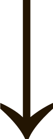 scroll down